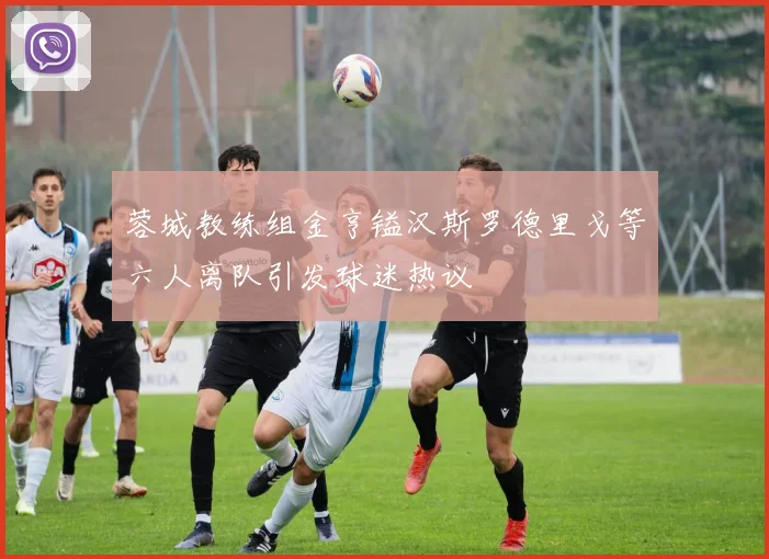 蓉城教练组金亨镒汉斯罗德里戈等六人离队引发球迷热议
