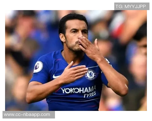 谢林汉姆评论切尔西放弃杰克逊的决定对佩德罗适应影响深远 谢林汉姆评论切尔西放弃杰克逊的决定对佩德罗适应影响深远